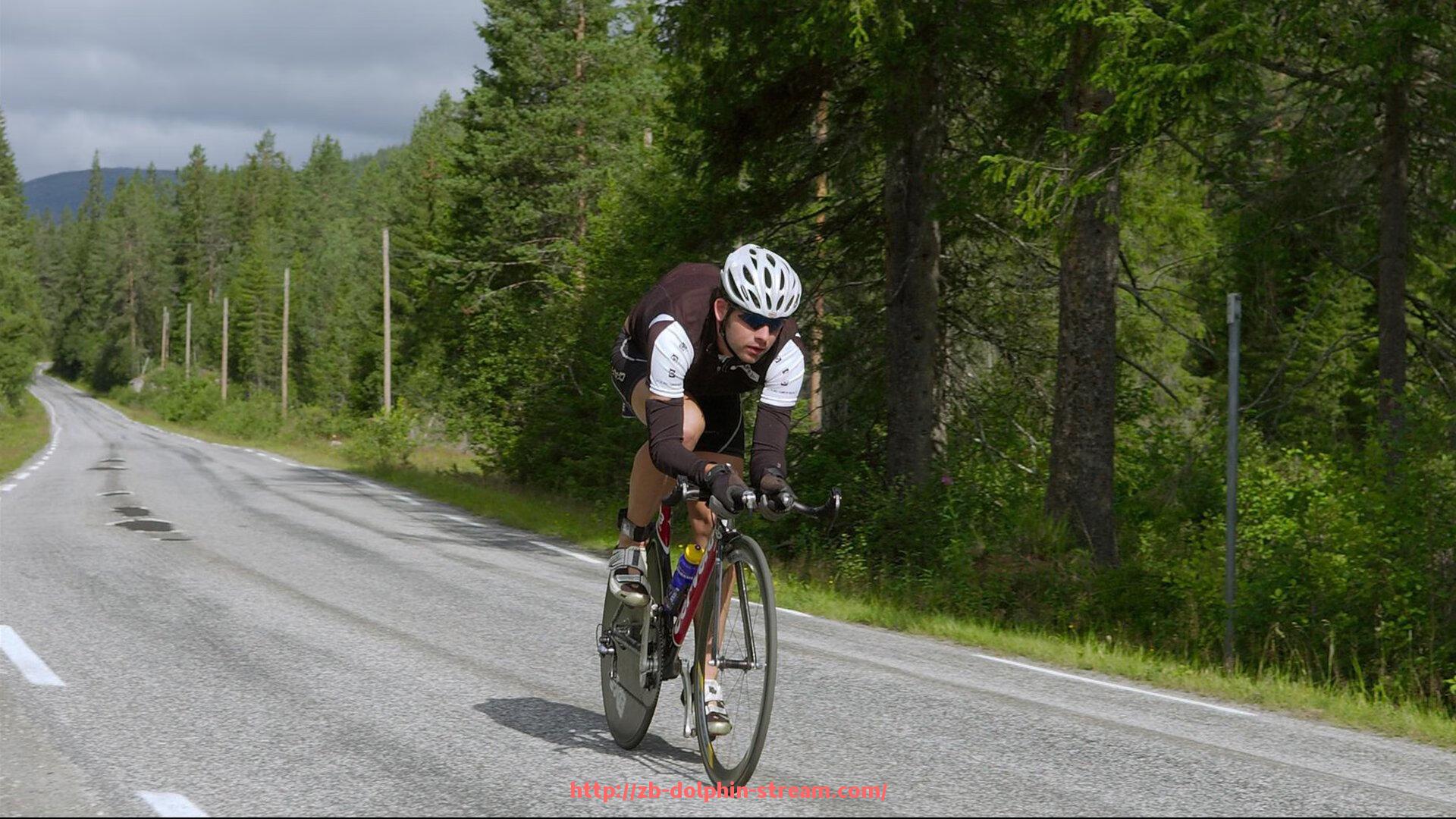 海豚直播-世俱杯赞助资金审计流程规范与监管操作指引