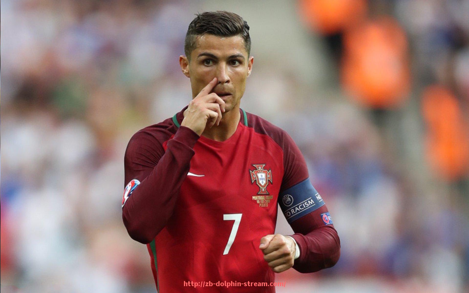 海豚直播-国内综合健身器材品牌推荐及市场评价