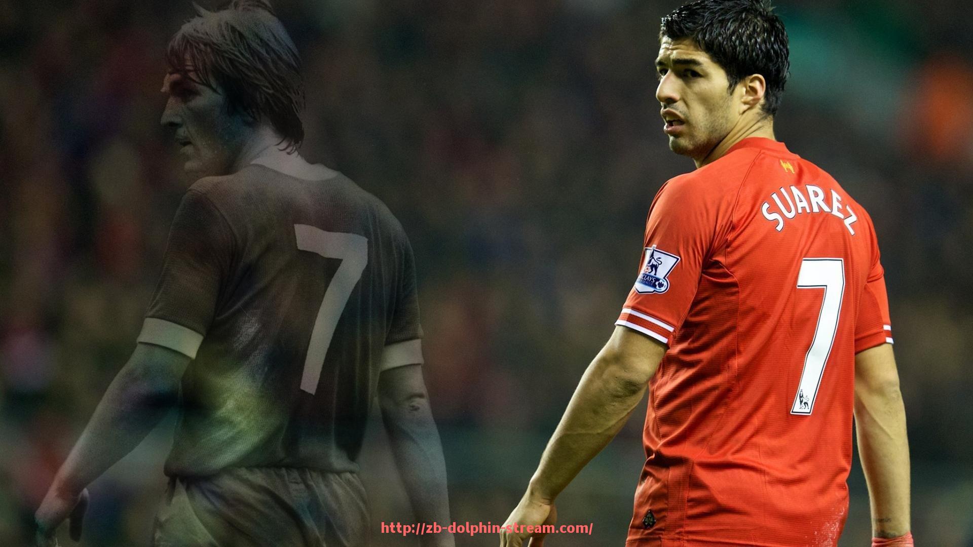 海豚直播-德甲球队转会汇总表:2025夏窗进出人员总览