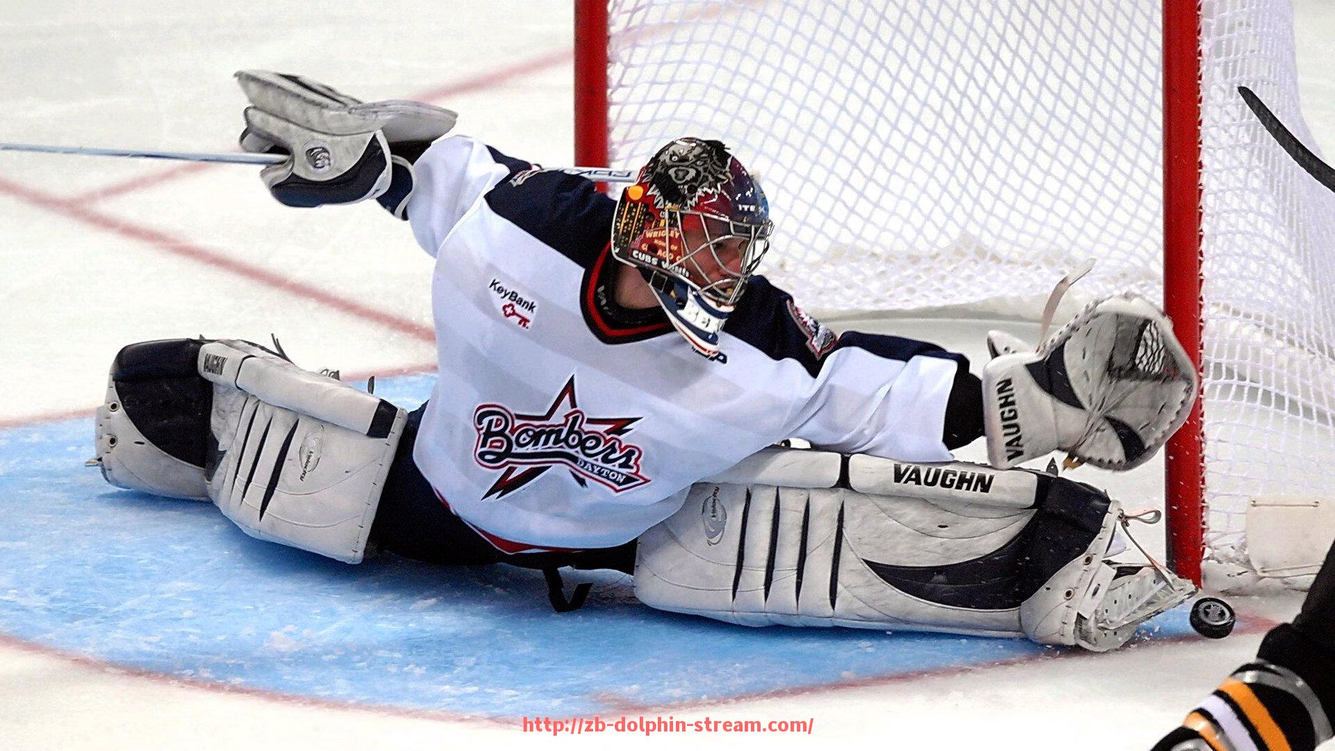 海豚直播-欧冠赛场上的德甲球队数量及表现回顾