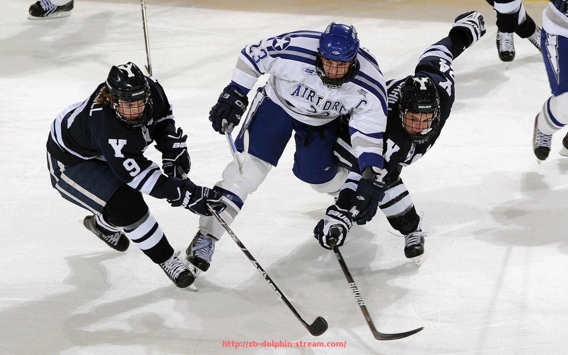 海豚直播-世俱杯赛事整体商业价值评估与赞助分布分析